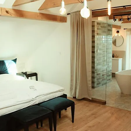 Forrest Polanica-Zdrój