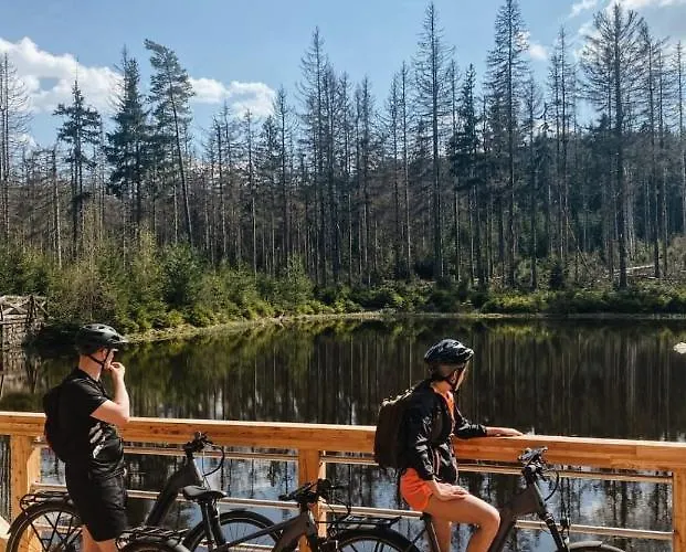 Forrest לינה וארוחת בוקר 3*