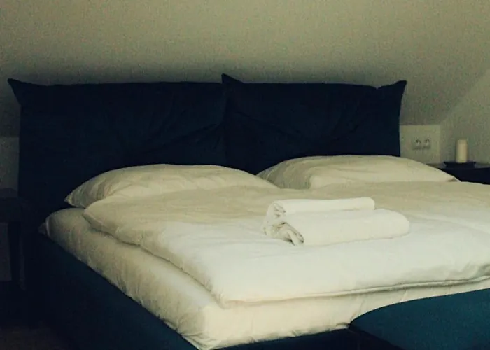 Forrest 3* פולניסה-ז'דוז'