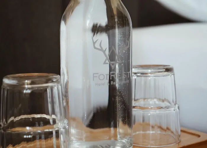 Bed & Breakfast Forrest Polanica-Zdroj